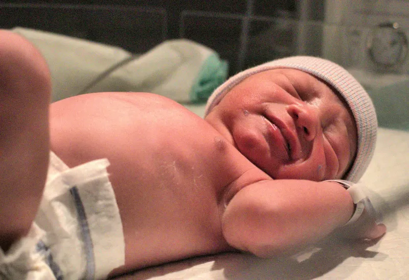 Washed Away: The Case for Vernix-Informed Newborn Care in Professional Training